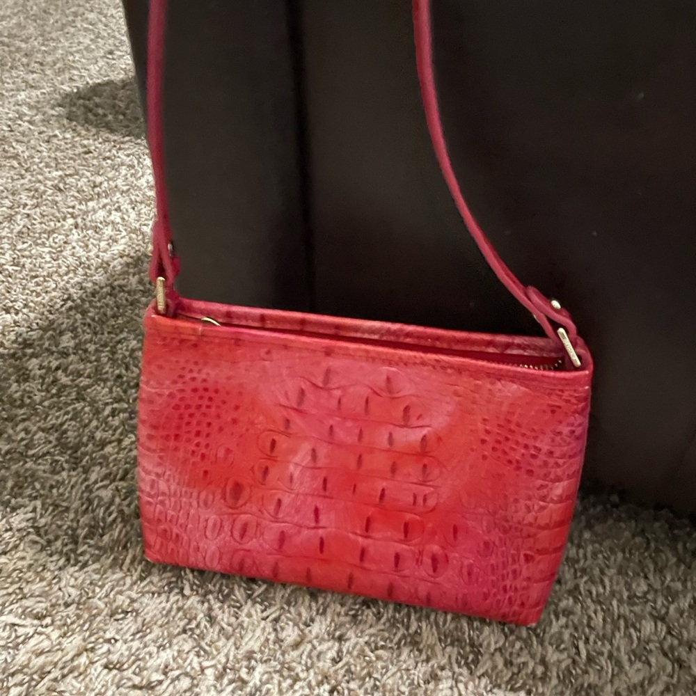 Red Brahmin